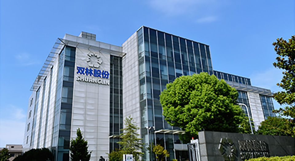 ������ʱӡ��